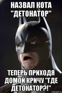 назвал кота "детонатор" теперь приходя домой кричу "где детонатор?!"