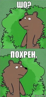 Шо? Похрен.