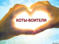 коты-воители