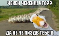 чекен чекен!!! что?? да не че пиздв тебе!!!