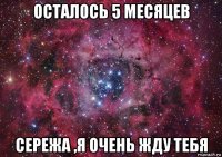 осталось 5 месяцев сережа ,я очень жду тебя