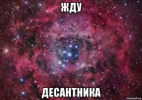 жду десантника