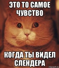 это то самое чувство когда ты видел слендера