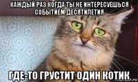 каждый раз когда ты не интересуешься событием десятилетия где-то грустит один котик