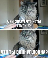 А вы знаете,что коты глупые? Что ты вякнул,псина?