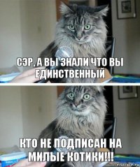 сэр, а вы знали что вы единственный кто не подписан на Милые котики!!!