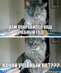 вам понравился ваш учебный год какой учебный кот???