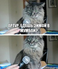 Артур, едешь зимой в Мумбаи? 