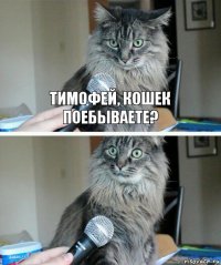 тимофей, кошек поебываете? 