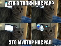 кто в тапки насрар? это мухтар насрал.