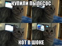 купили пылесос кот в шоке