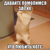 давайте помолимся за тих, хто любить котє