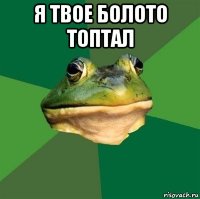 я твое болото топтал 