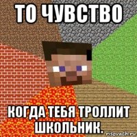 то чувство когда тебя троллит школьник.