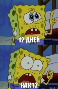 12 дней КАК 12