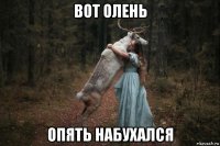 вот олень опять набухался