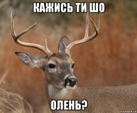 кажись ти шо олень?