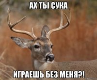 ах ты сука играешь без меня?!