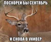 поскорей бы сентябрь и снова в универ