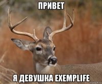 привет я девушка exemplife