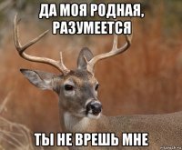 да моя родная, разумеется ты не врешь мне