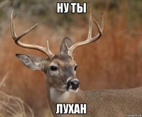 ну ты лухан