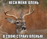 неси меня, олень в свою страну оленью..