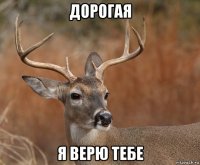 дорогая я верю тебе