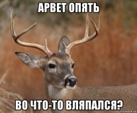 арвет опять во что-то вляпался?