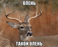 олень такой олень