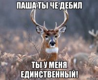 паша ты че дебил ты у меня единственный!