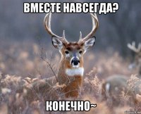 вместе навсегда? конечно~