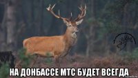  на донбассе мтс будет всегда