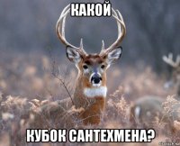 какой кубок сантехмена?