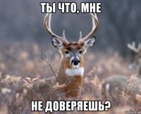 ты что, мне не доверяешь?