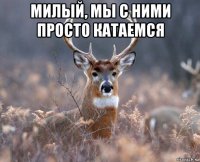 милый, мы с ними просто катаемся 