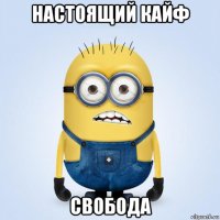 настоящий кайф свобода