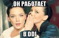 он работает в ddi