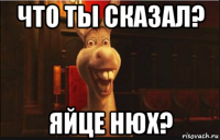 что ты сказал? яйце нюх?