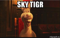 sky tigr 