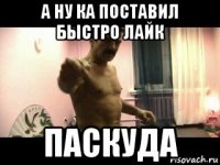 а ну ка поставил быстро лайк паскуда