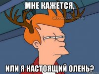 мне кажется, или я настоящий олень?