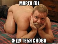 марго (в) жду тебя снова