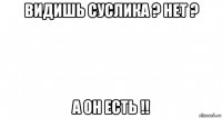 видишь суслика ? нет ? а он есть !!