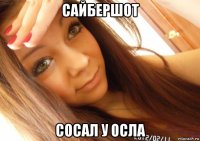 сайбершот сосал у осла