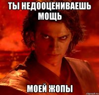 ты недооцениваешь мощь моей жопы