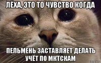 лёха, это то чувство когда пельмень заставляет делать учёт по мктскам