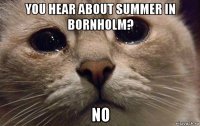 you hear about summer in bornholm? no