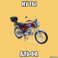 ну ты альфа