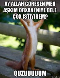 ay allah göresen men aşkim orxani niye bele çox istiyirem? quzuuuuum